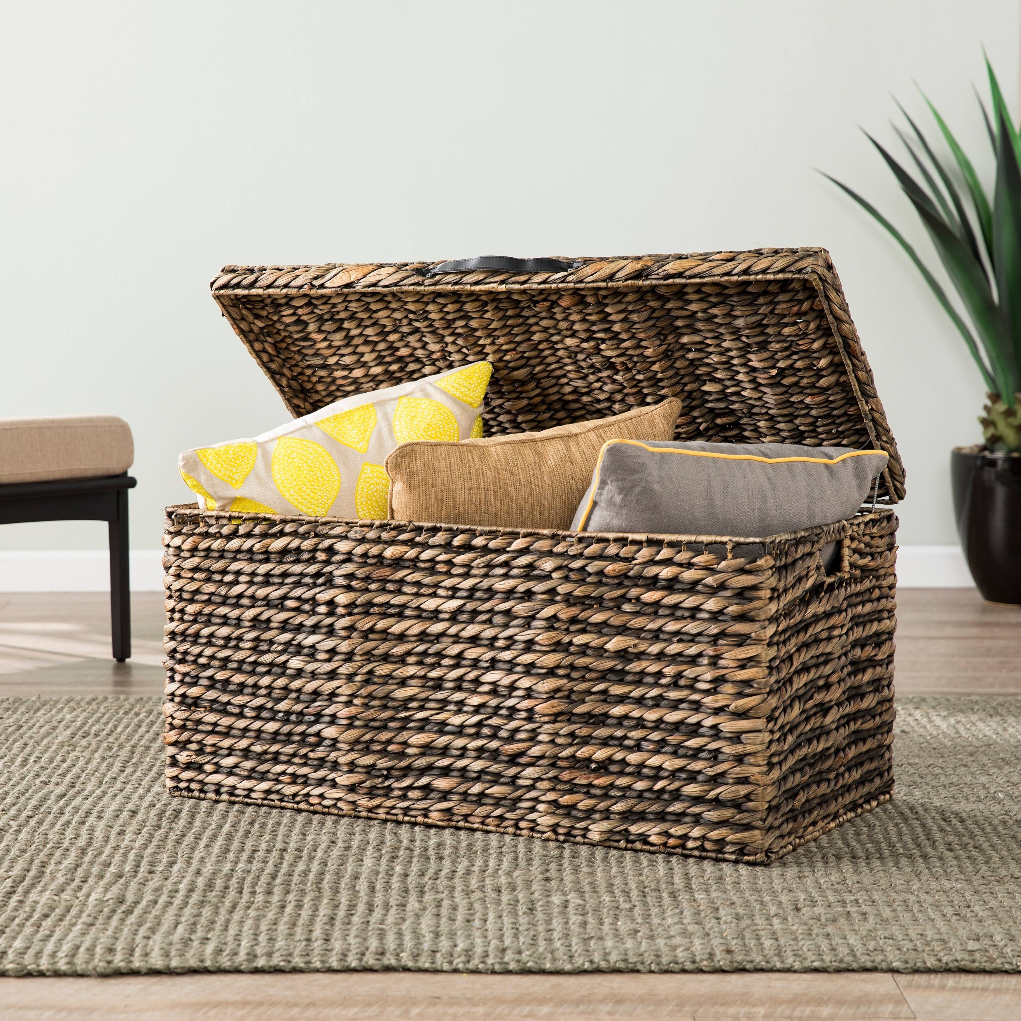 Carbon Loft Dandelion Water Hyacinth Cocktail Storage Trunk Table