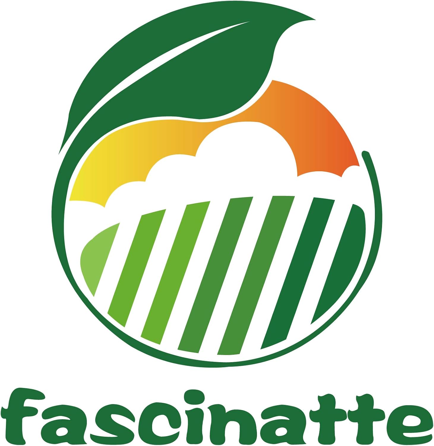 fascinatte Paddles 99-9313 with Scraper 55-8760 for Toro CCR2000 CCR2400 CCR2450 CCR2500 CCR3600 CCR3650 Snow blowers Pack of 2