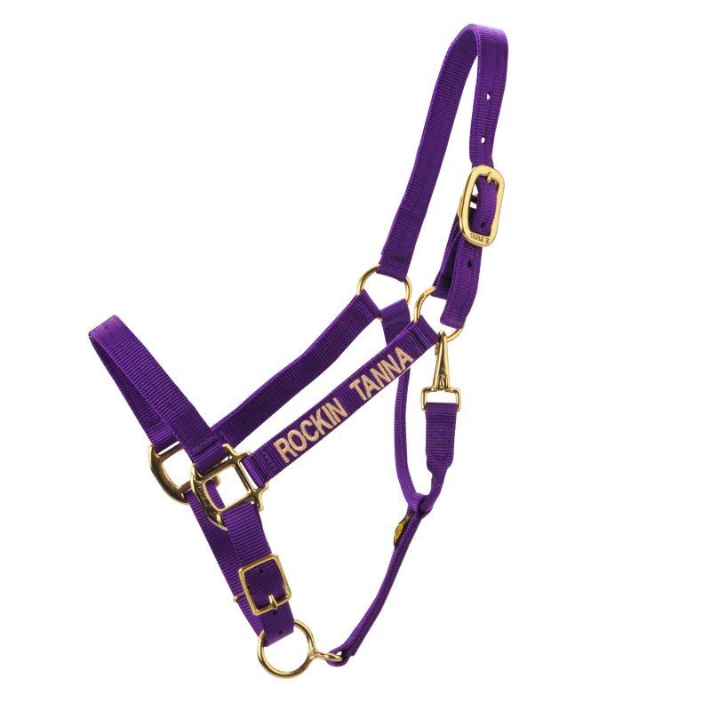 Triple E Personalized Adj Nylon Halter w/Snap Hors Black