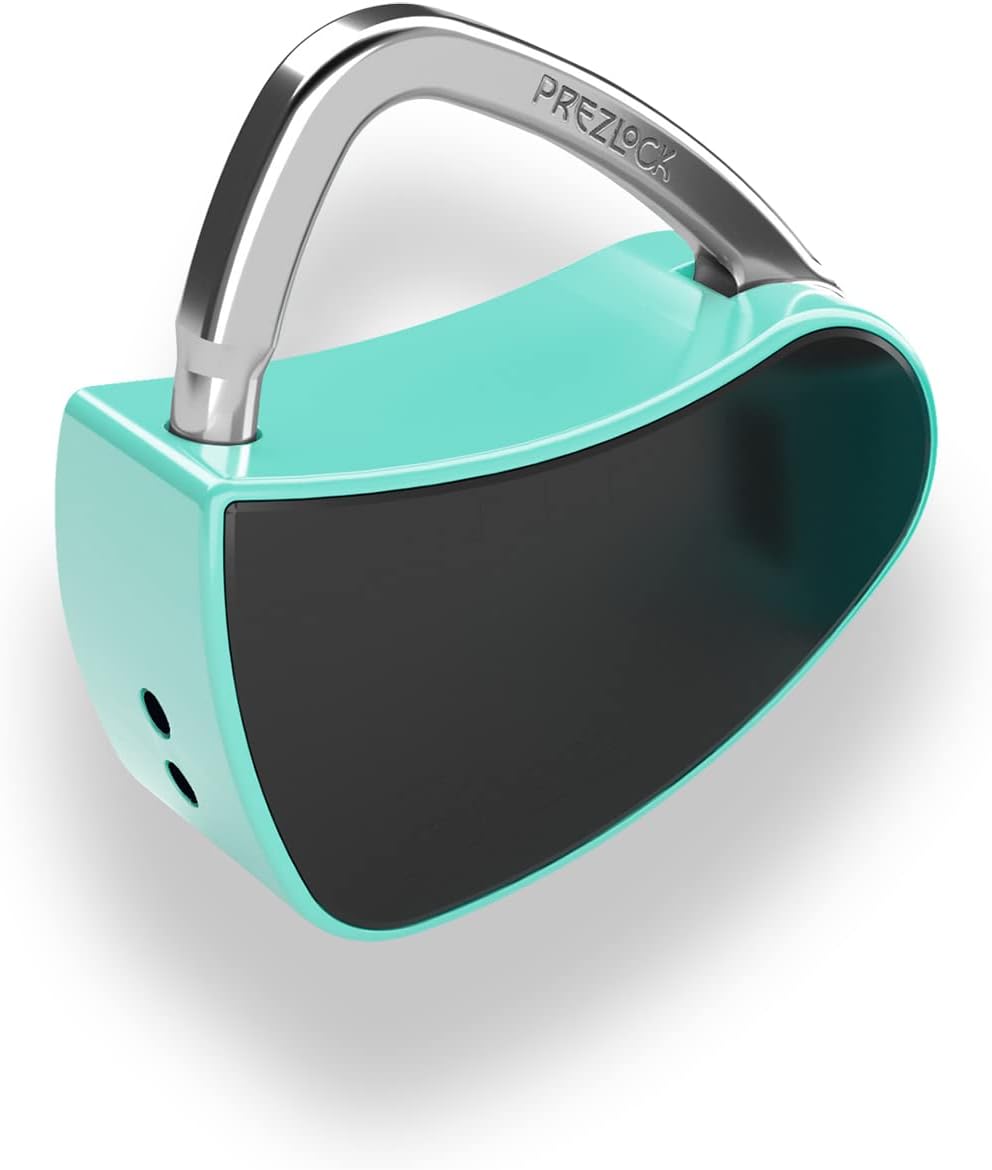 Fingerprint Padlock, Smart Padlock with Keyless Biometric, Multiple Fingerprints, Fashionable and Compact Lock, Suitable for Gym, Backpack, Sports, School, Personal Storage.1Pack.