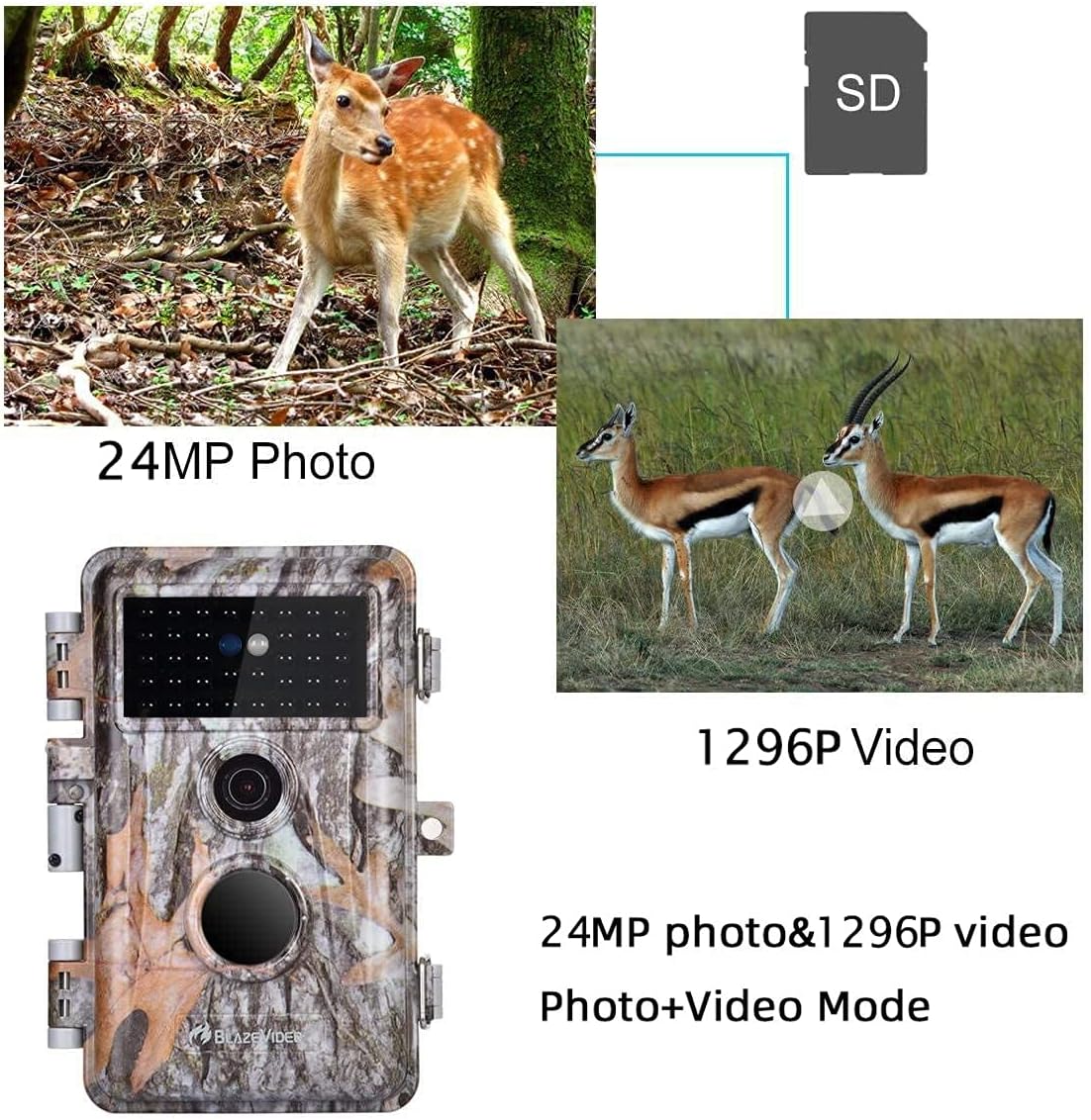 2-Pack Game Trail Deer Cameras 24MP 1296P H.264 MP4 Video No Glow Wildlife Hunting Cams with Night Vision Motion Activated Waterproof & Password Protected Photo & Video Model Time Lapse & Time Stamp