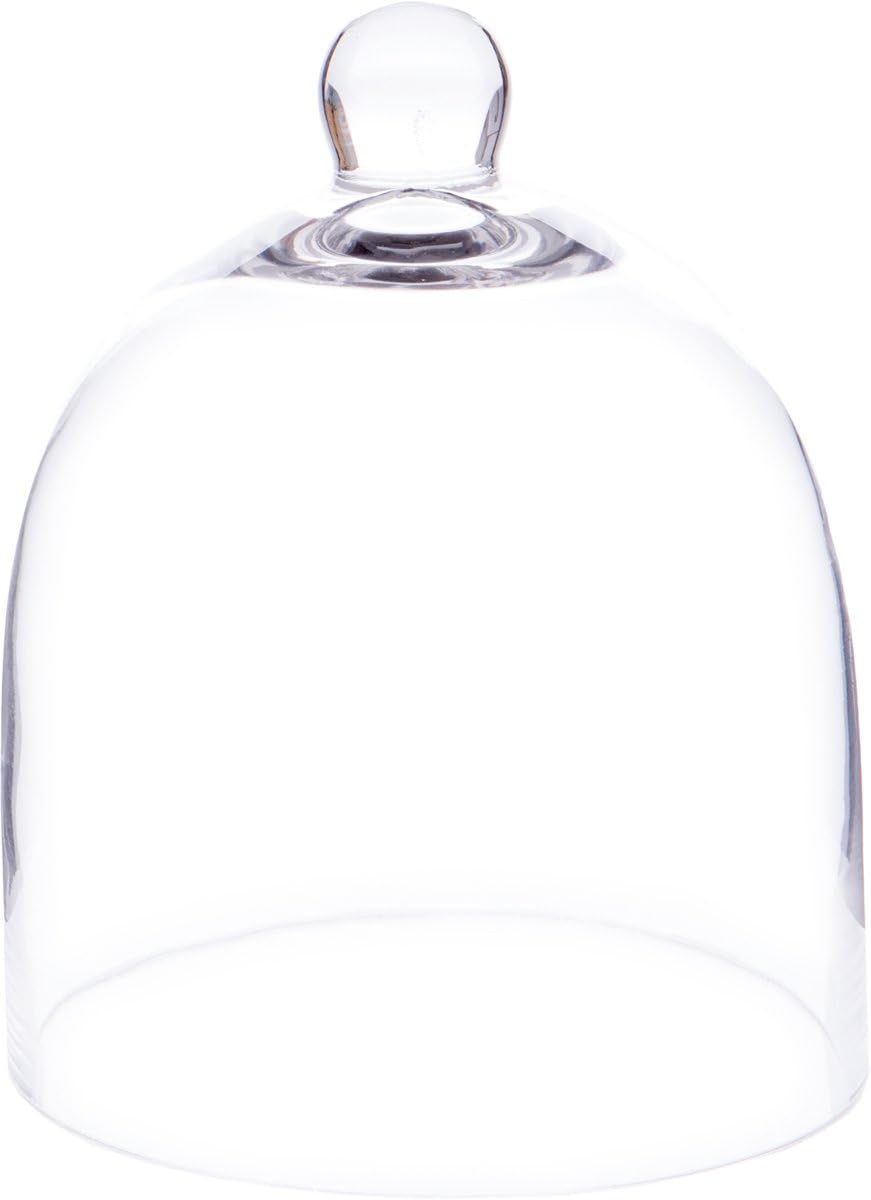 Plymor 7.875 inch x 9.5 inch Bell Jar Glass Display Dome Cloche (Interior Size 7.5