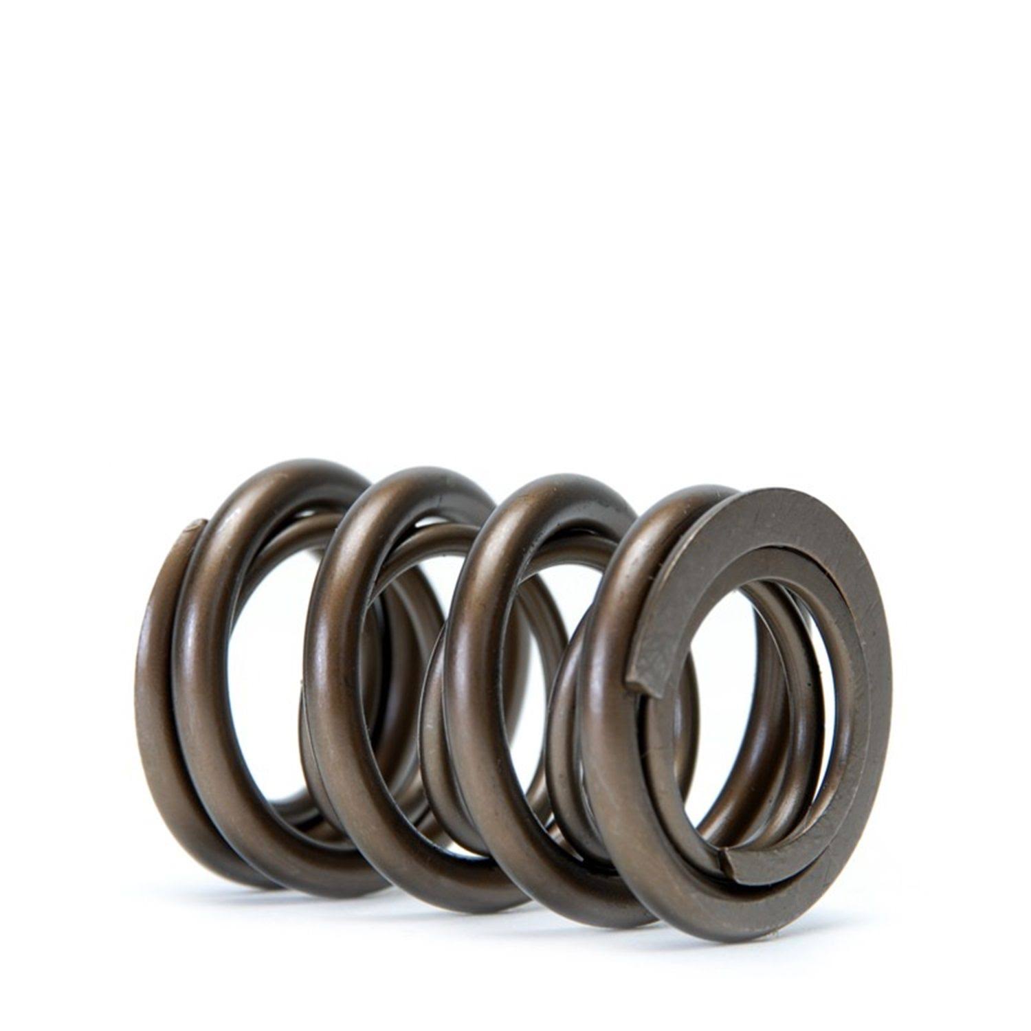 Skunk2 Racing 311-05-1380 Alpha Series Valve Spring Set