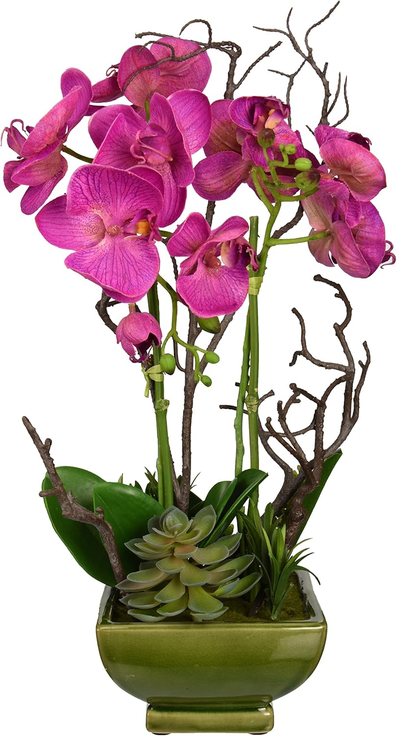 Nearly Natural 4990 Orchid and Succulent Arrangement Pack of 2