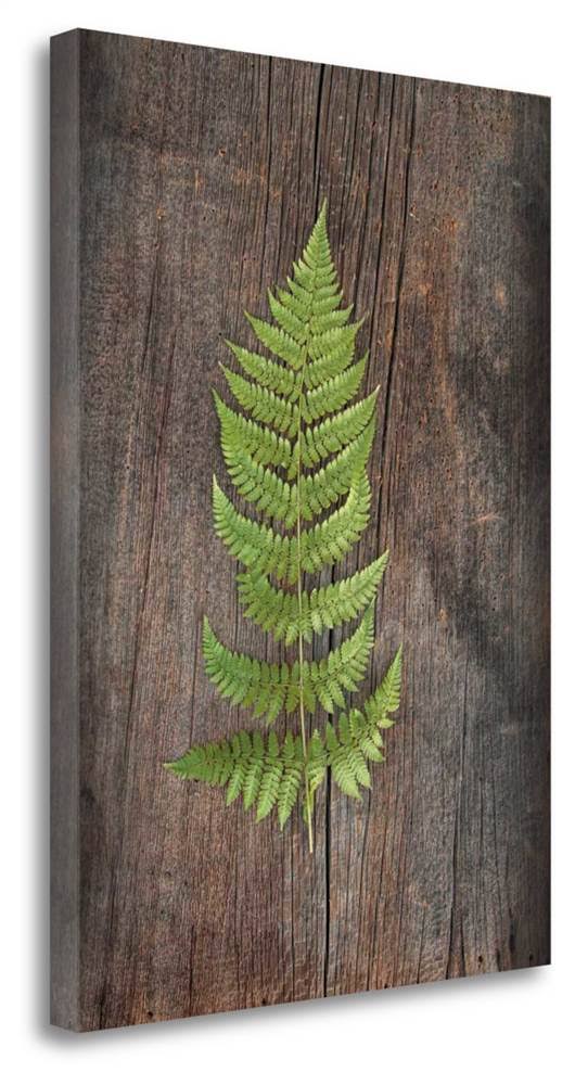 29x22 x 21x22 Woodland Fern I by Sue Schlabach Fine Art Giclee Print
