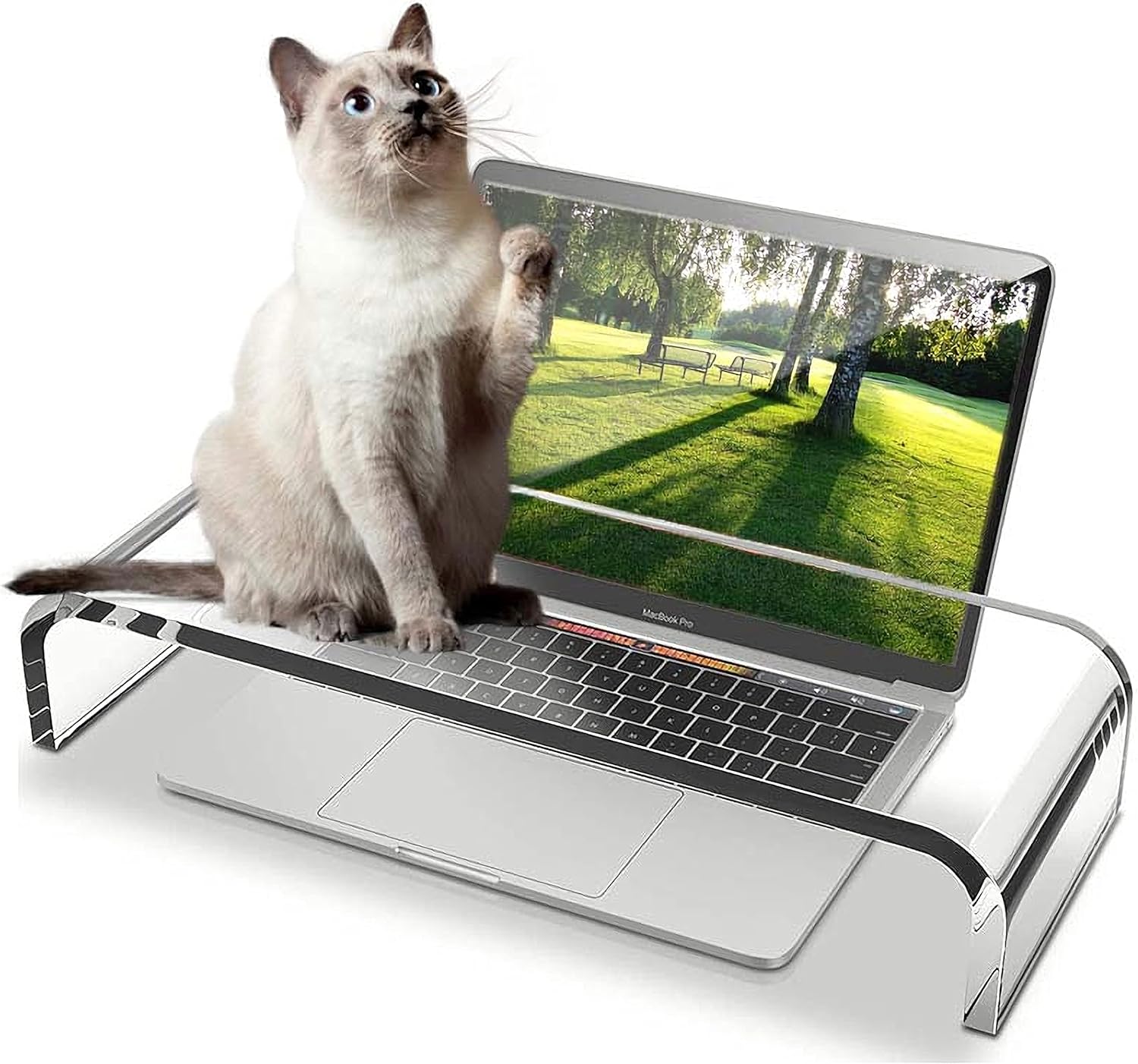 Clear Acrylic Monitor Stand,Keyboard Cover Protector Anti-Cat Prevent Cats from Touching Keyboard,Stand for Laptop Pack of 2