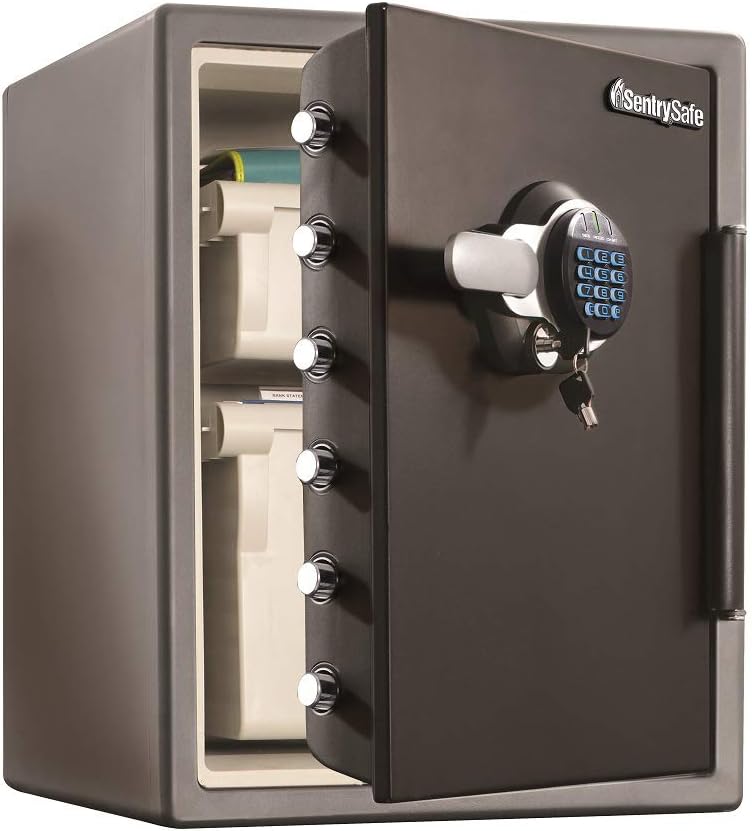 SentrySafe SFW205GQC Fireproof Safe and Waterproof Safe with Dial Combination 2.05 Cubic Feet Gray/Black & 917 File Organizer Accessory, For SFW205 Fire Safes