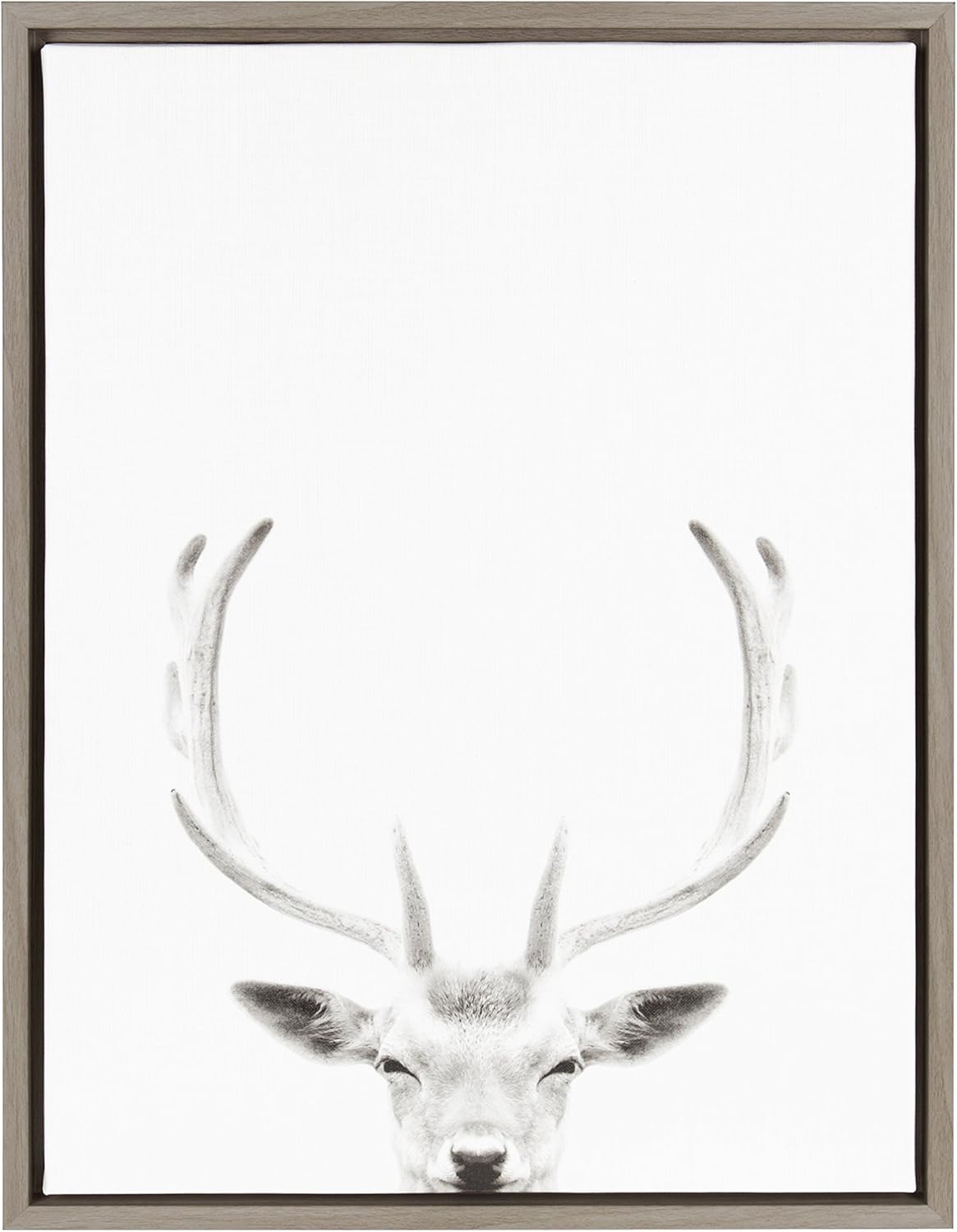 Kate and Laurel Sylvie Deer Portrait Framed Canvas by Simon Te Tai, 23x33, Gray Pack of 2