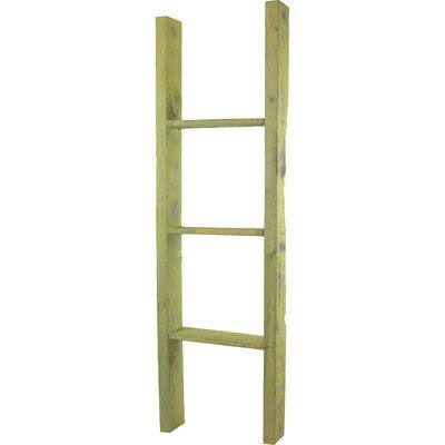 Gracie Oaks Barnwood Decor Collection Vintage Blanket Ladder, Green