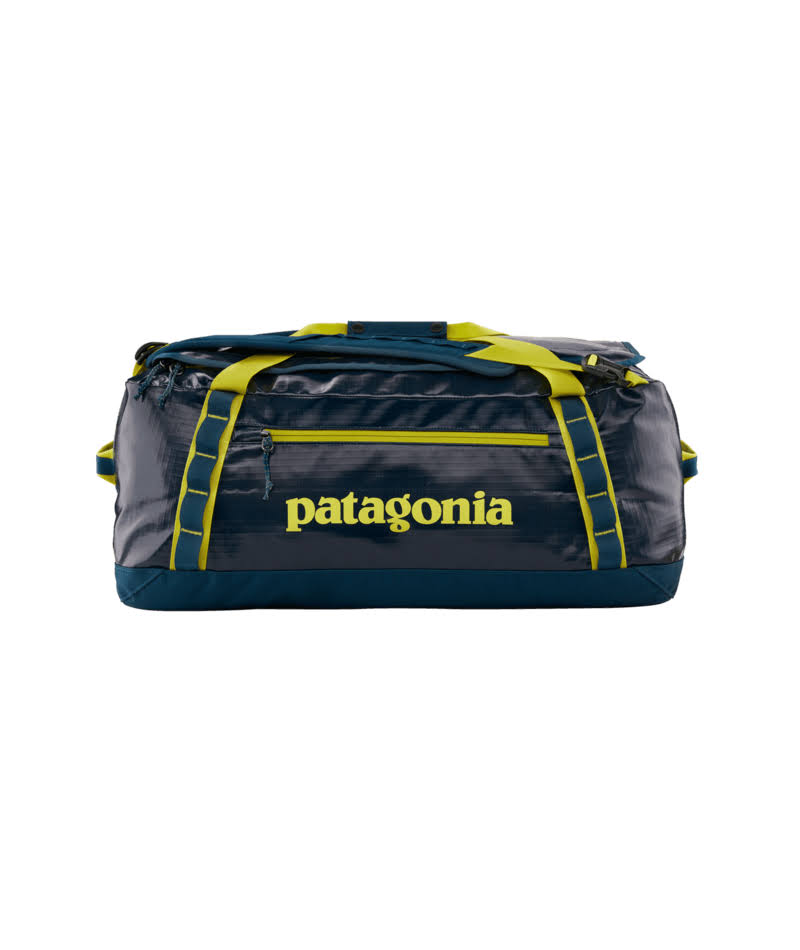 Patagonia Black Hole Duffel - 40L Purple