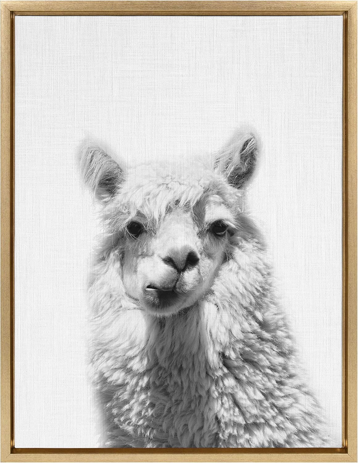Kate and Laurel Sylvie Alpaca Framed Canvas by Simon Te Tai, 18x24, Natural Pack of 2