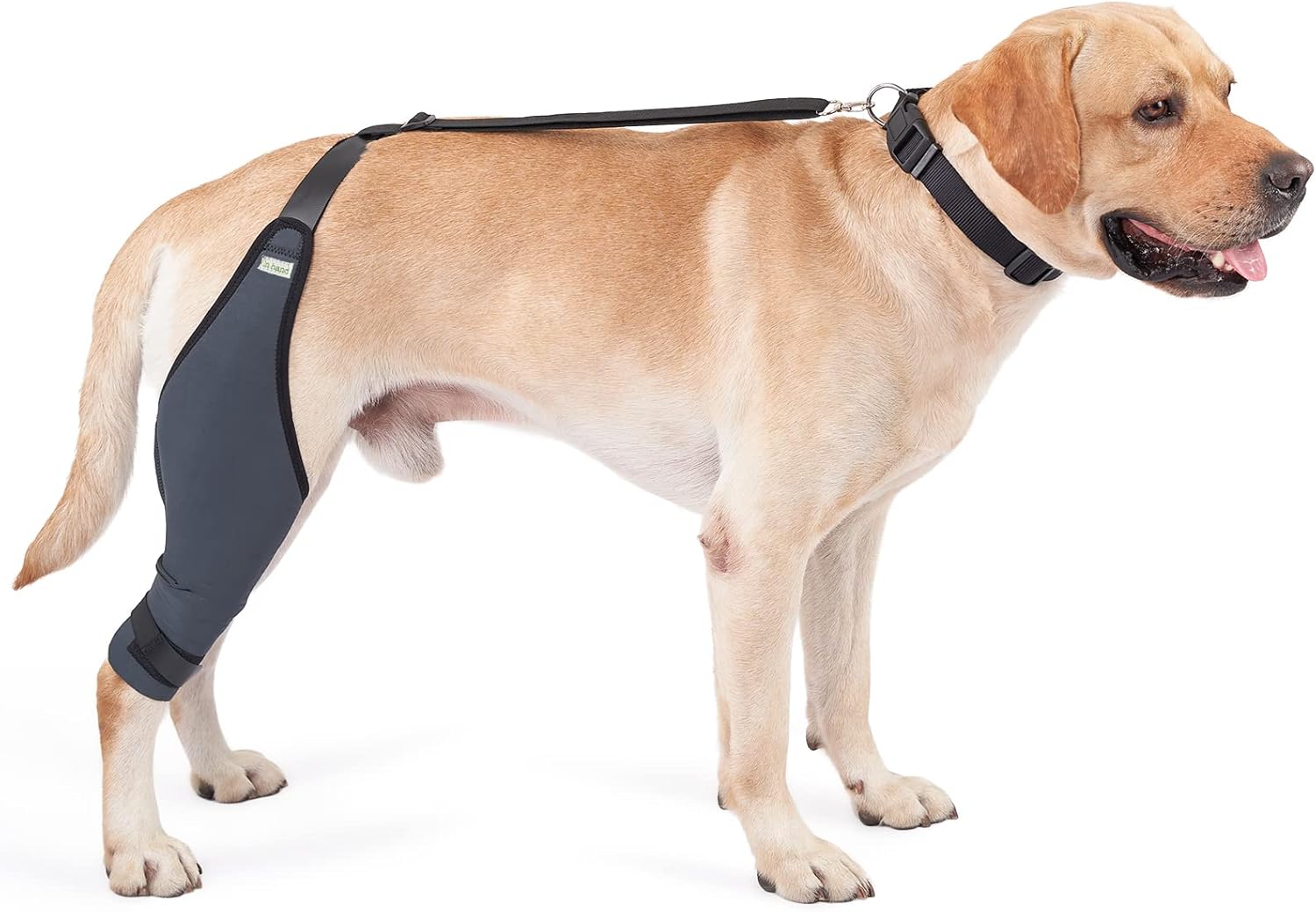 IN HAND Canine Dog Knee Brace, Knee Immobilizer Support for Dogs with Torn ACL, Knee Cap Dislocation, Arthritis, Neoprene Canine Stifle Brace Helps Keep The Joint Stable and Reduces Pain, Left