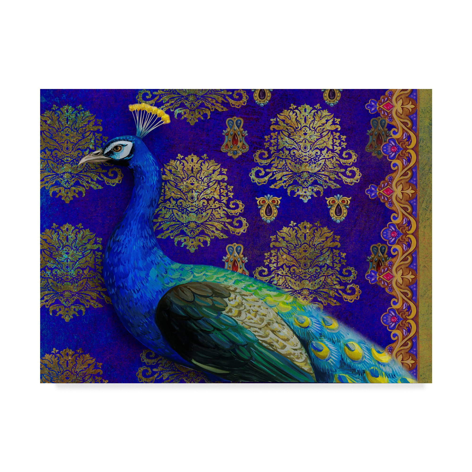 Trademark Fine Art Ali31204-C2432Gg Maria Rytova &Indian Peacock& Canv