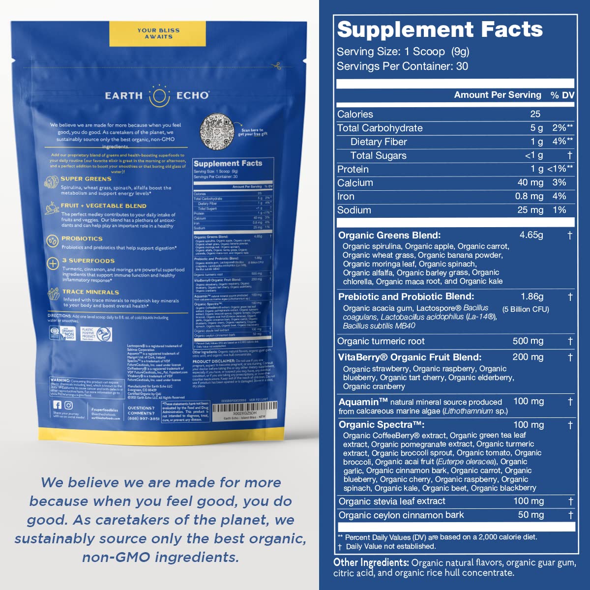 Earth Echo Island Bliss - Green Superfood Energy Drink Powder - 30 Servings - Delicious Tropical Smoothie Mix with Digestive Probiotics for Gut Performance and Immunity Boost Support - No Gluten Pack of 2