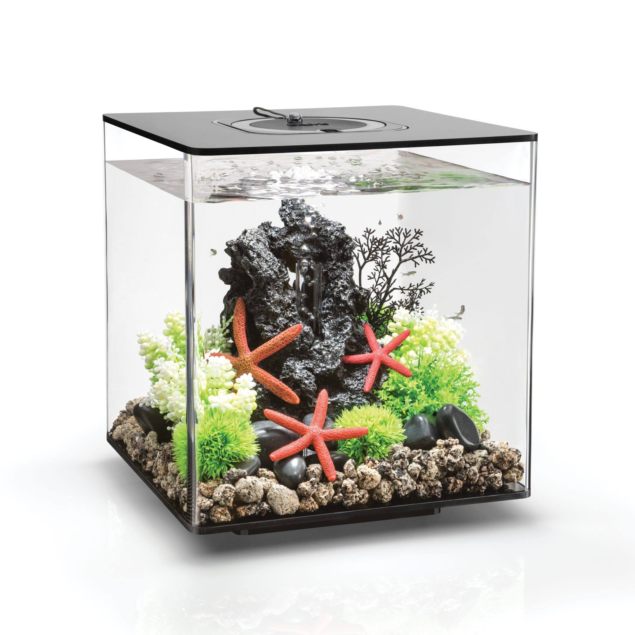 biOrb Cube LED Aquarium, Black, 8-gal