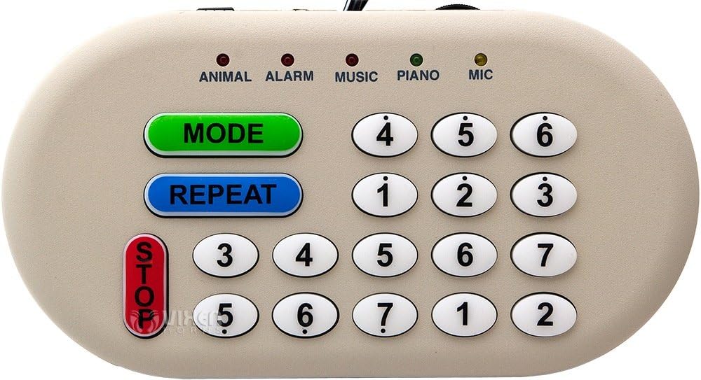 Vixen Horns VXS6200 46 Sounds (Musical/Siren/Alarm/Sound Effect/Animal) Electronic Horn and Public Announcement 12V Pack of 2