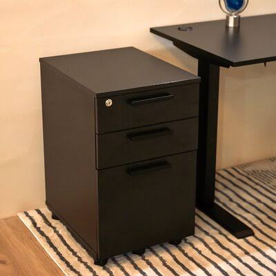 Castorena 3-Drawer Mobile Vertical Filing Cabinet Three Posts Color: Black