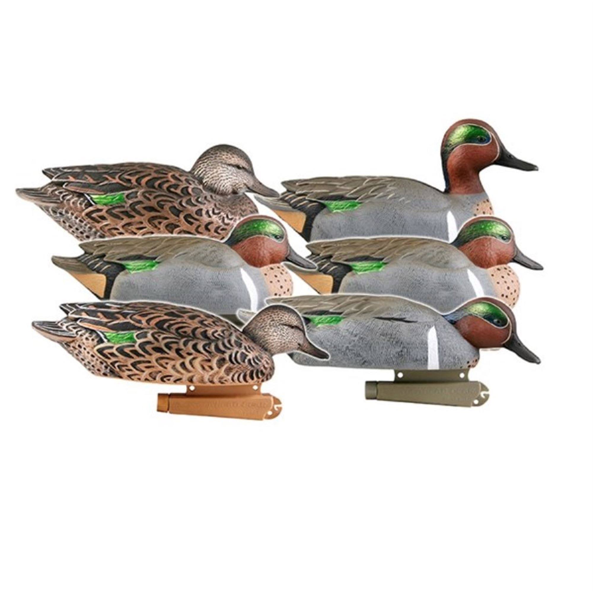 Avery Pro-Grade Green-winged Teal, 6 Pack