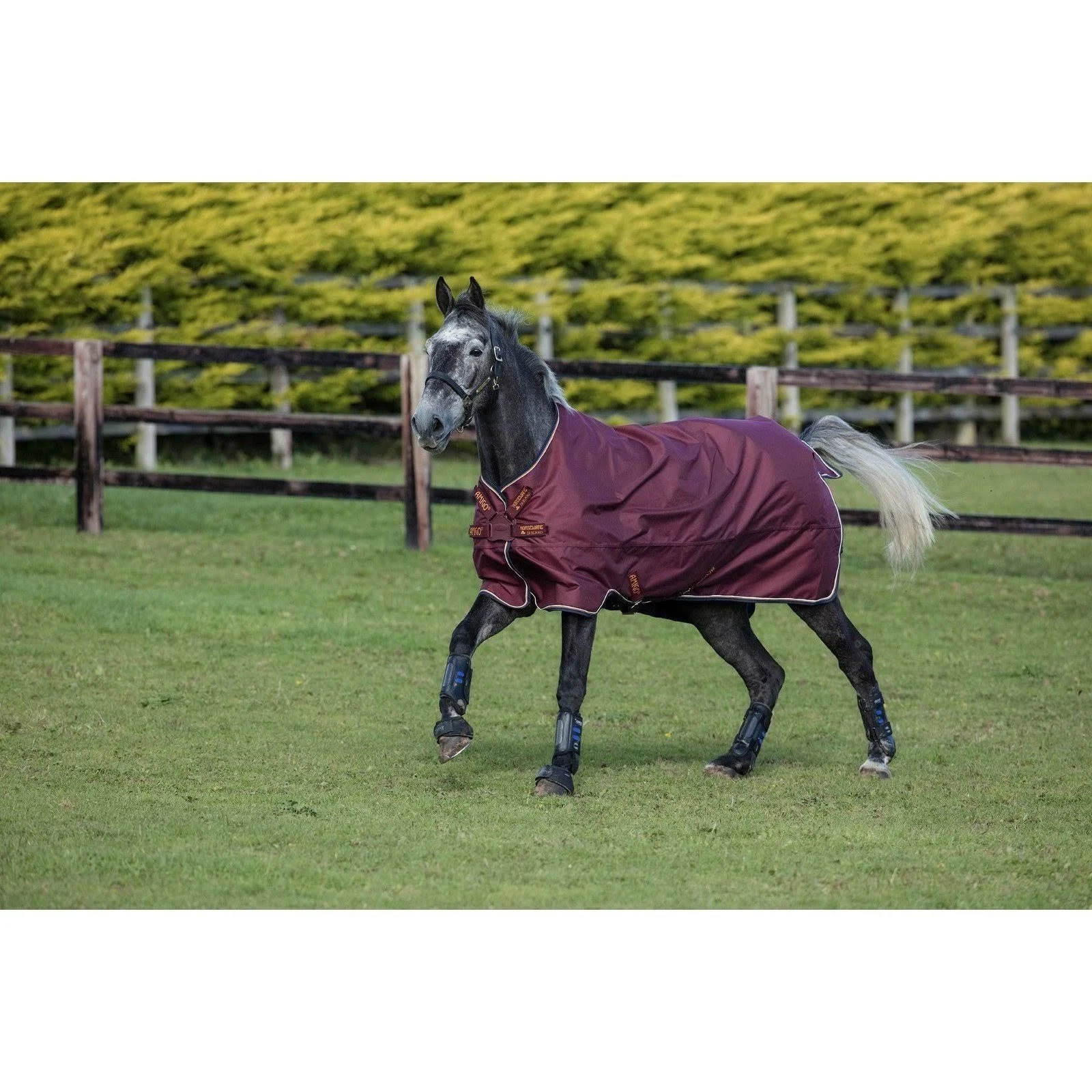 Amigo Hero ACY Turnout Sheet 0g Disc 69 Black/Teal