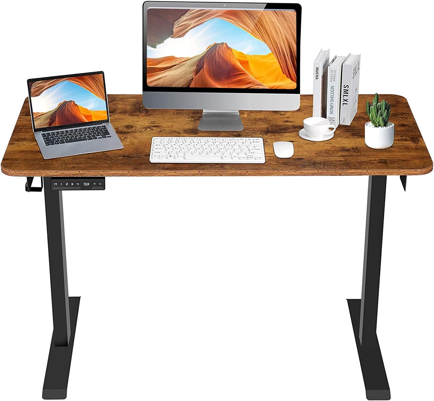ELEFU Electric Standing Desk, 48 x 24 Inches Height Adjustable Desk with Whole Piece Desktop, Quick Assembly, Ergonomic Memory Controller, Ultra-Quiet Adjustment, Sit Stand Home Office Desk, Black