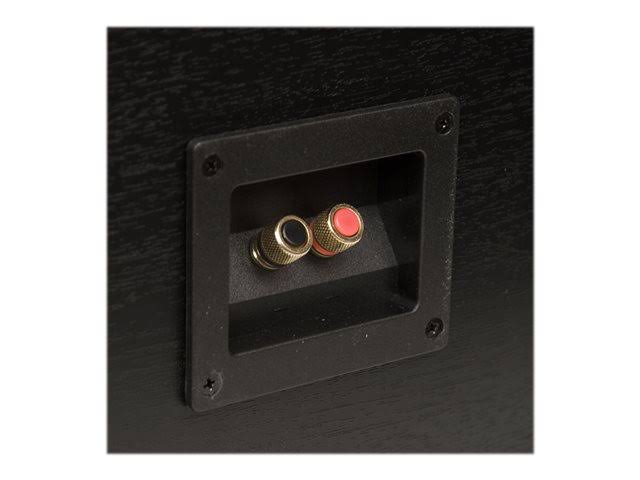 Energy Connoisseur Series CC-10 2.5-way Center Channel Speaker - High Gloss Black/Black Ash