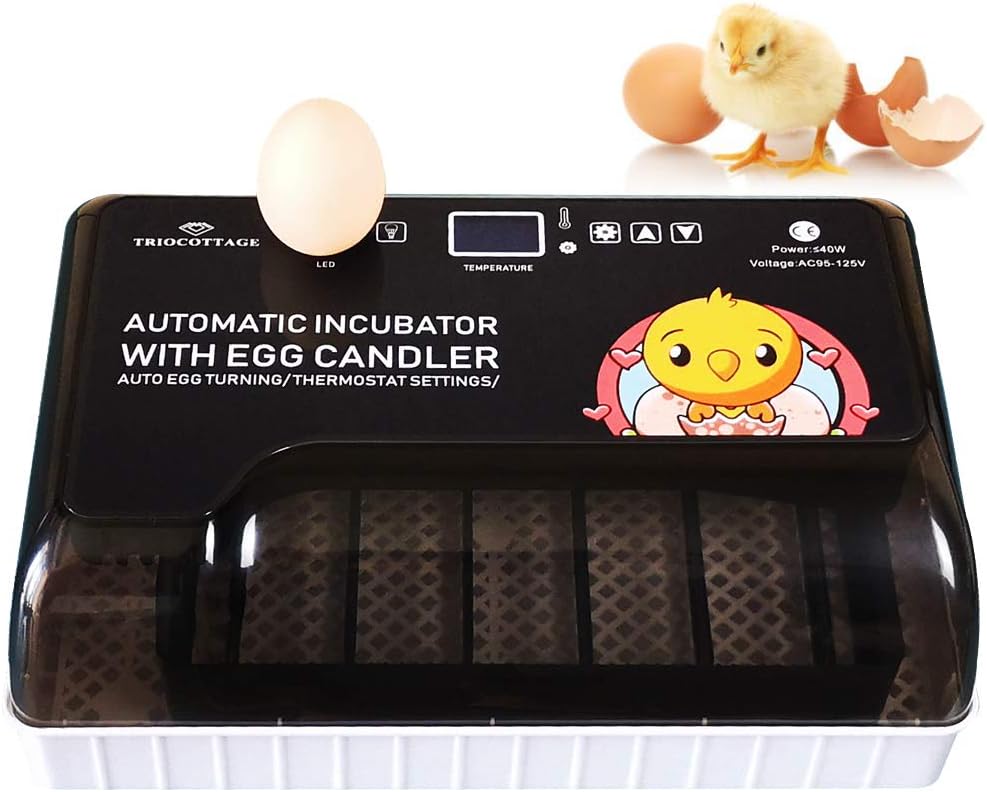 TRIOCOTTAGE Incubators,Automatic 8-12 Eggs Incubator for Hatching Quail Chicken Goose Duck,Automatic Egg Turning and Temperature,Small Chick Hatcher with Turner Pack of 2