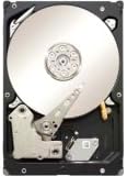 Seagate Constellation ES 1 TB 7200RPM 6 Gb/s SAS 64MB Cache 3.5 Inch Internal Bare Drive (ST1000NM0001)