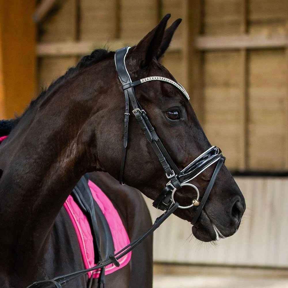 Horze Grayson Snaffle Bridle Horse / Black