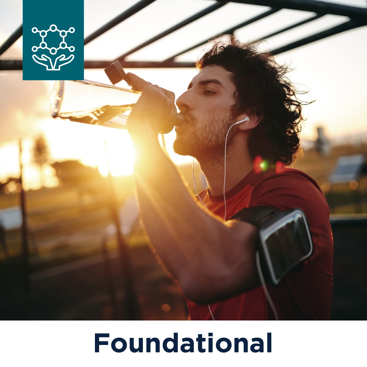 Designs for Health Paleo Bar - Paleo Nutrition Bar with 8g Net Carbs + 10g Protein from Bone Broth Isolate, Hemp + Pumpkin Seed - Dairy-Free + Gluten-Free, Chocolate Flavor (12 Bars) Pack of 2