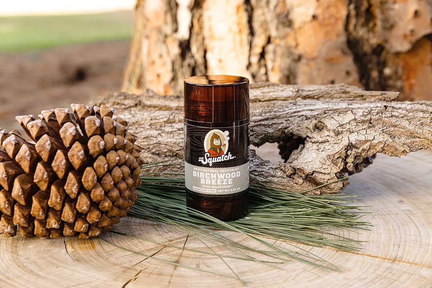 Dr. Squatch Natural Men's Deodorant 6-Pack Variety Bundle - Alpine Sage, Bay Rum and Birchwood Breeze - Odor-Squatching and Aluminum-Free, 2.65 oz., 6-Pack Pack of 2