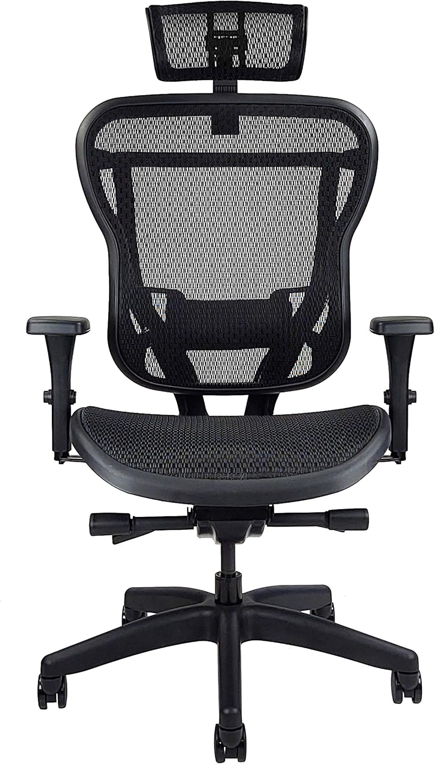 Oak Hollow Furniture Aloria Series Office Chair Ergonomic Executive Computer Chair Mesh Seat and Backrest, Adjustable and Comfortable, Lumbar Support Swivel and Tilt (Headrest, Black)