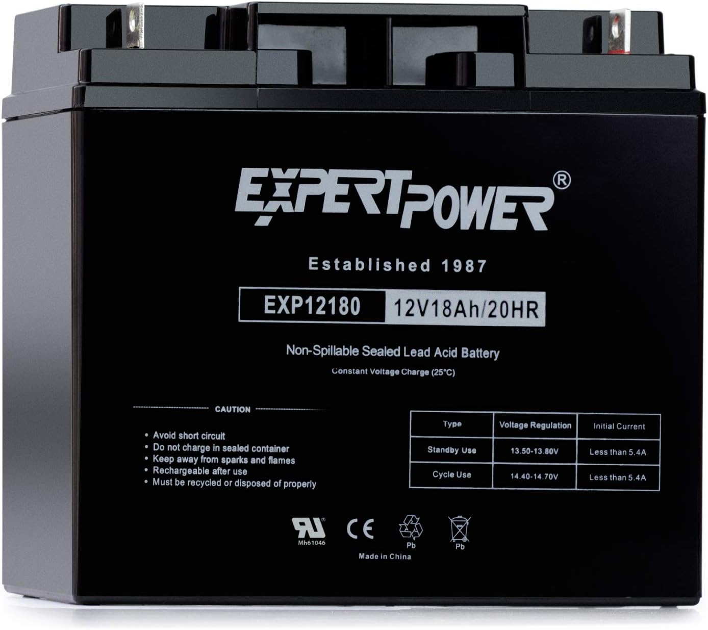ExpertPower EXP12180 12V 18Ah Lead Acid Battery