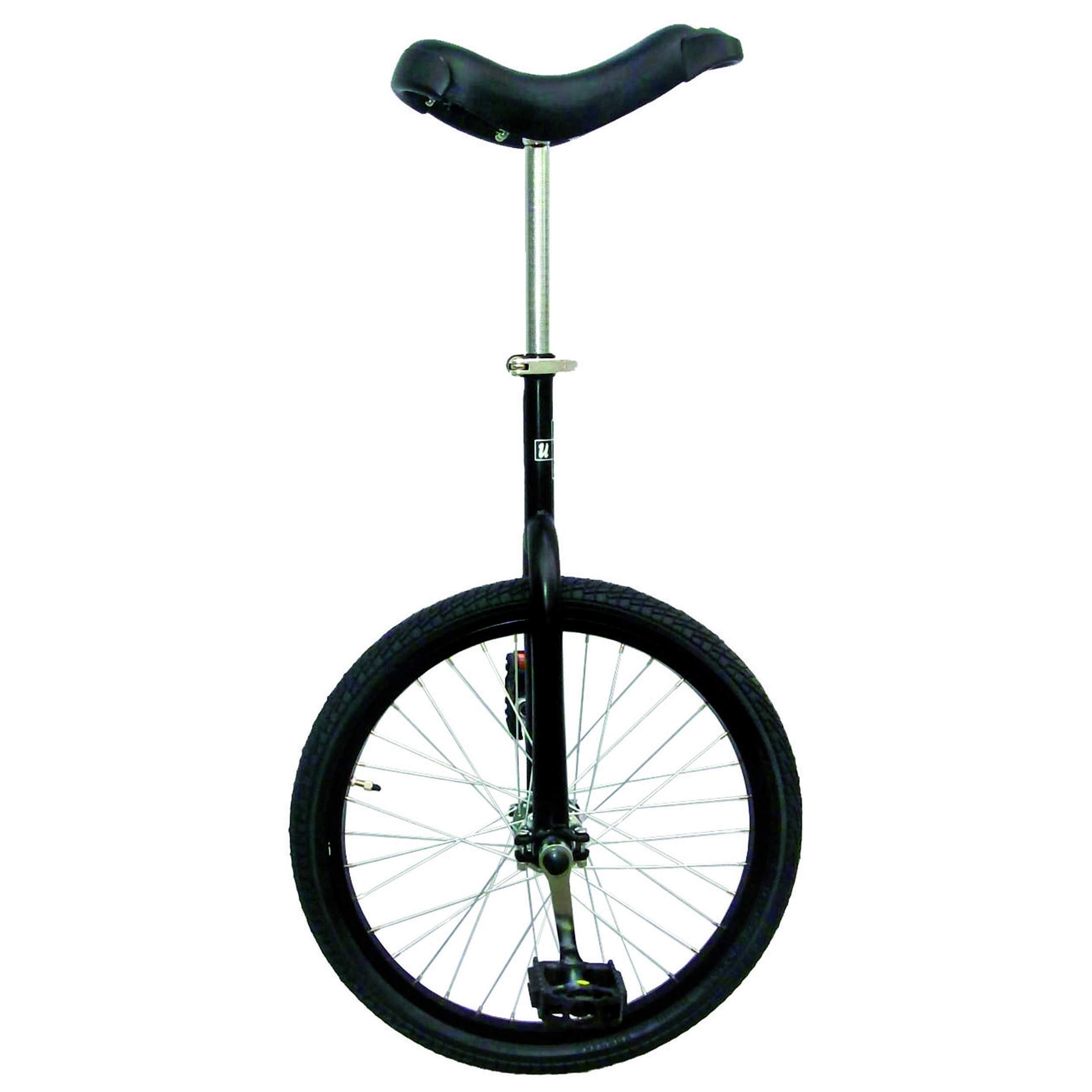 Fun Matte Black 20x22 Unicycle with Alloy Rim