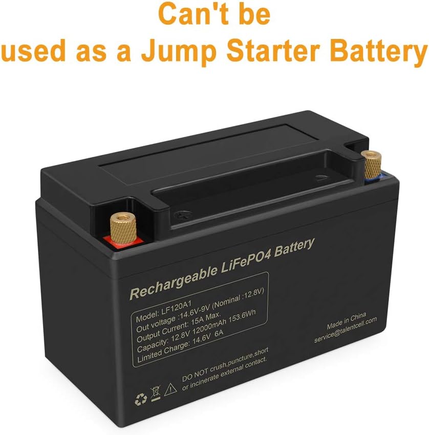 TalentCell LF120A1 Rechargeable 153.6Wh 12V 12Ah Lithium Iron Phosphate (LiFePO4) Battery Pack, 2000 Cycles