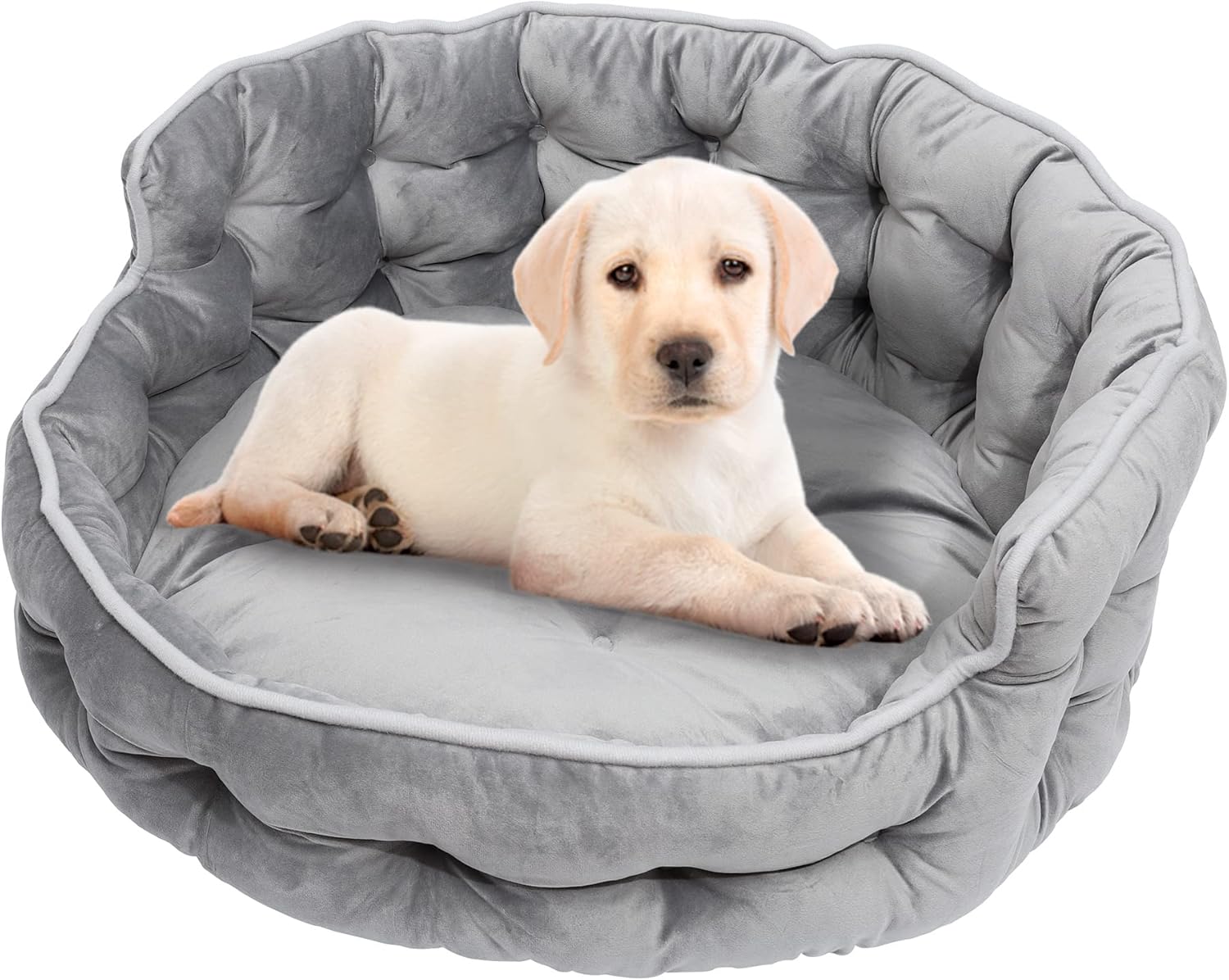 QUVITA Round Dog Beds Deluxe Velvet for Small Dogs Machine Washable Super Soft Self-Warming Puppy Sofa Anti-Slip Oxford Bottom for Indoor Cats,18 Inch Grey