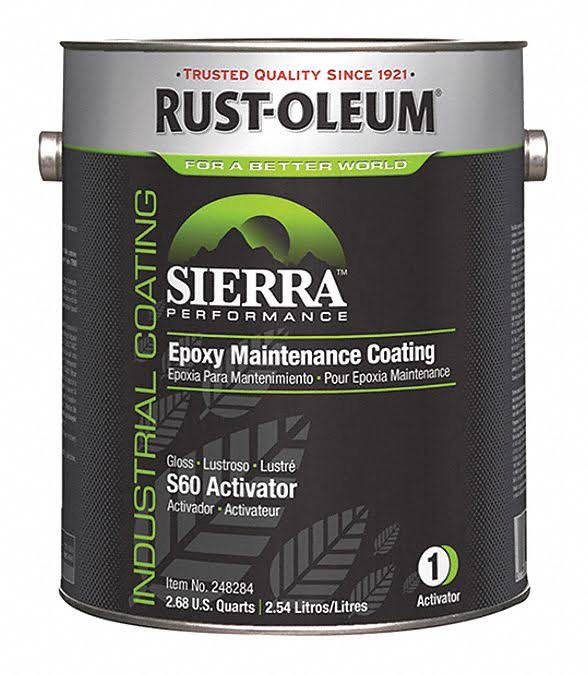 Sierra S60 248284 Epoxy Activator,clear,gloss