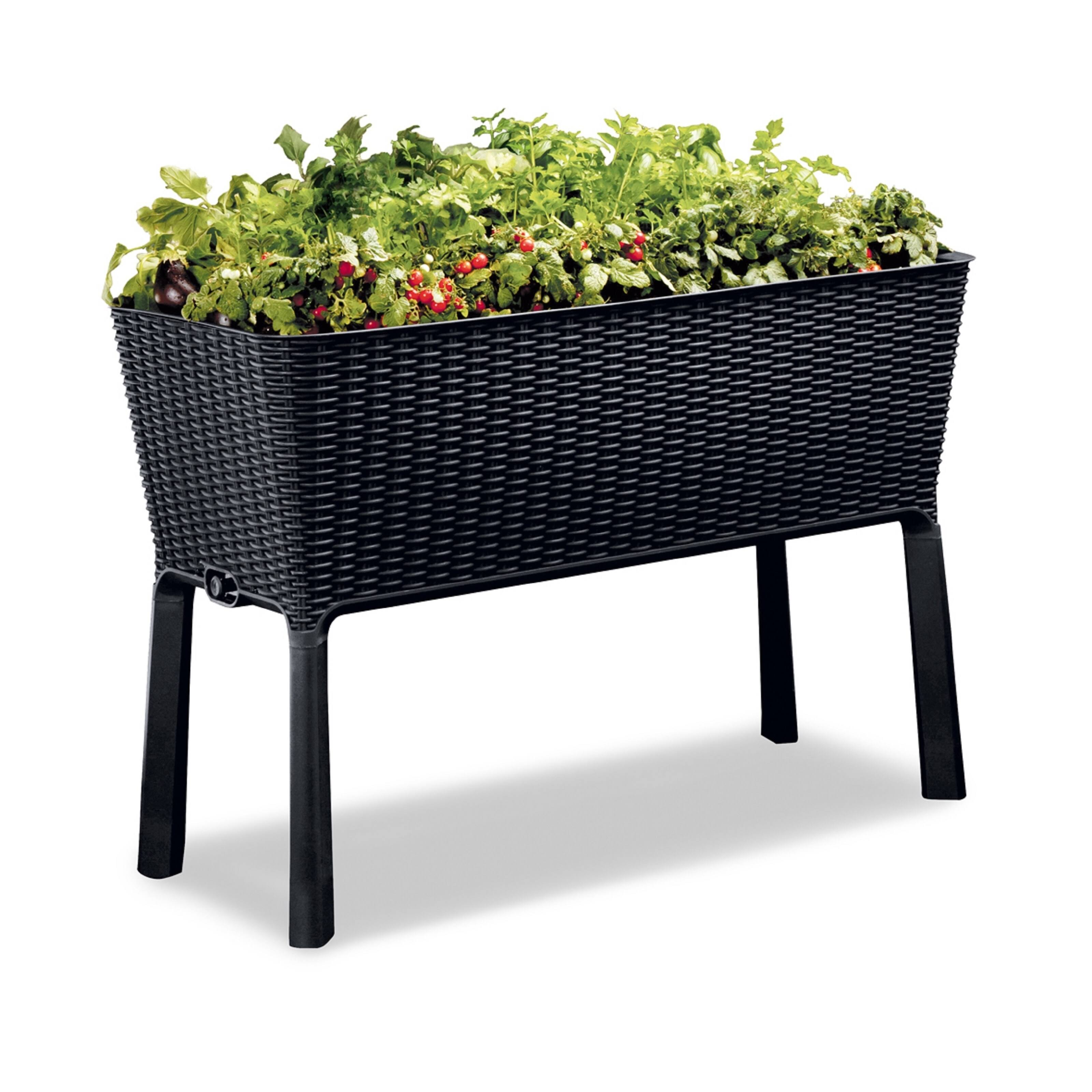 Keter Easy Grow Elevated Garden Bed - Anthracite