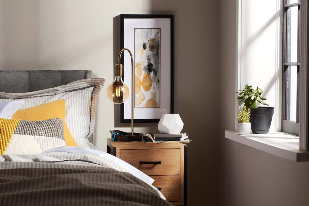 GE Vintage 40-Watt EQ BT56 Amber Dimmable Edison Light Bulb (2-Pack) | 93100101