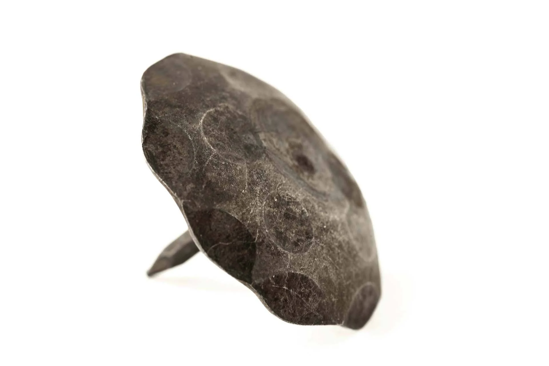 50 Pack Round Decorative Nails Door Clavos Hammered Iron 1.5x22 Diameter Hand Crafted for Barn Doors, Gates u0026 Shutters &ndash; Unf