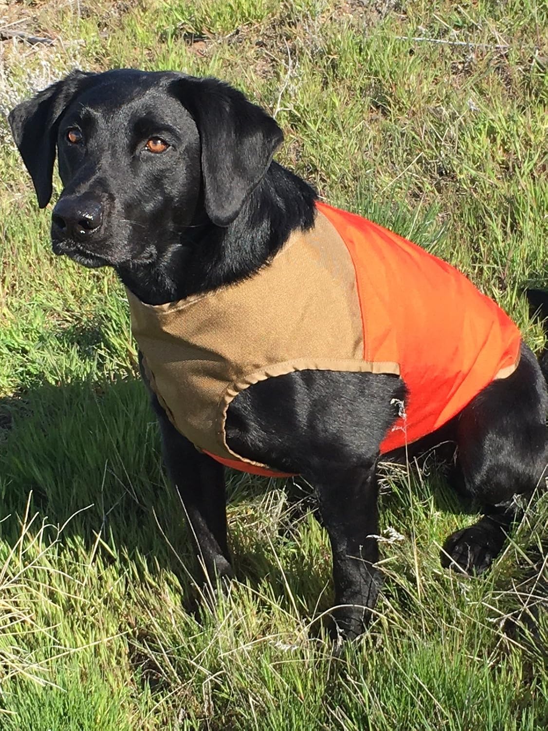 CUGA Vest Serious Protection for The Active Dog (MED, Orange/Coyote)