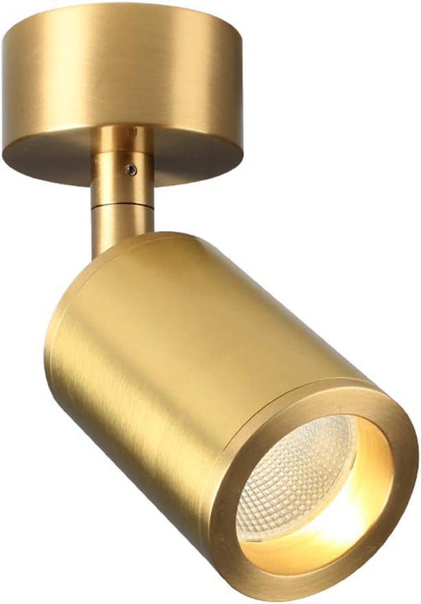 Aisilan Solid Copper Surface Mounted Angle Adjustable LED Spot Light Golden Anti Glare Accent Lamp COB Ceiling Spotlight Warm White 7W for Hallway Kitchen Living Room MSD713K7W