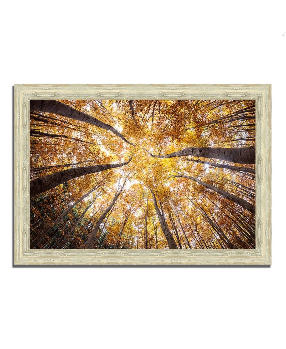 Tangletown Fine Art 36x22 x 51x22 Reach for The Sky Framed Photograph Print