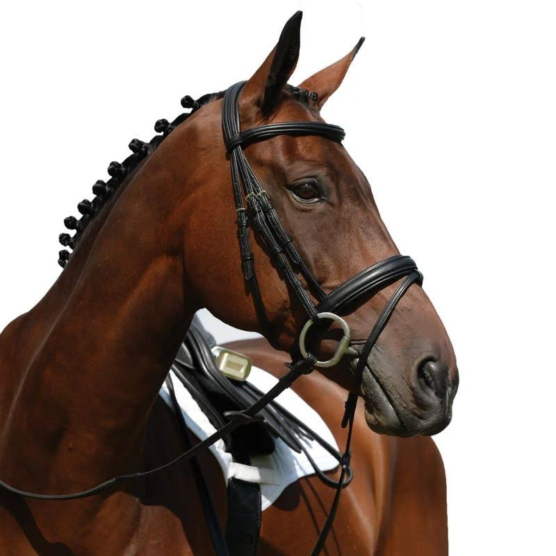 Collegiate Syntovia+ Padded Raised Figure 8 Bridle, Black / COB
