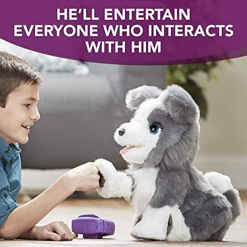 Furreal Friends Ricky, The Trick Lovin Interactive Plush Pet Toy, 100+ Sound and