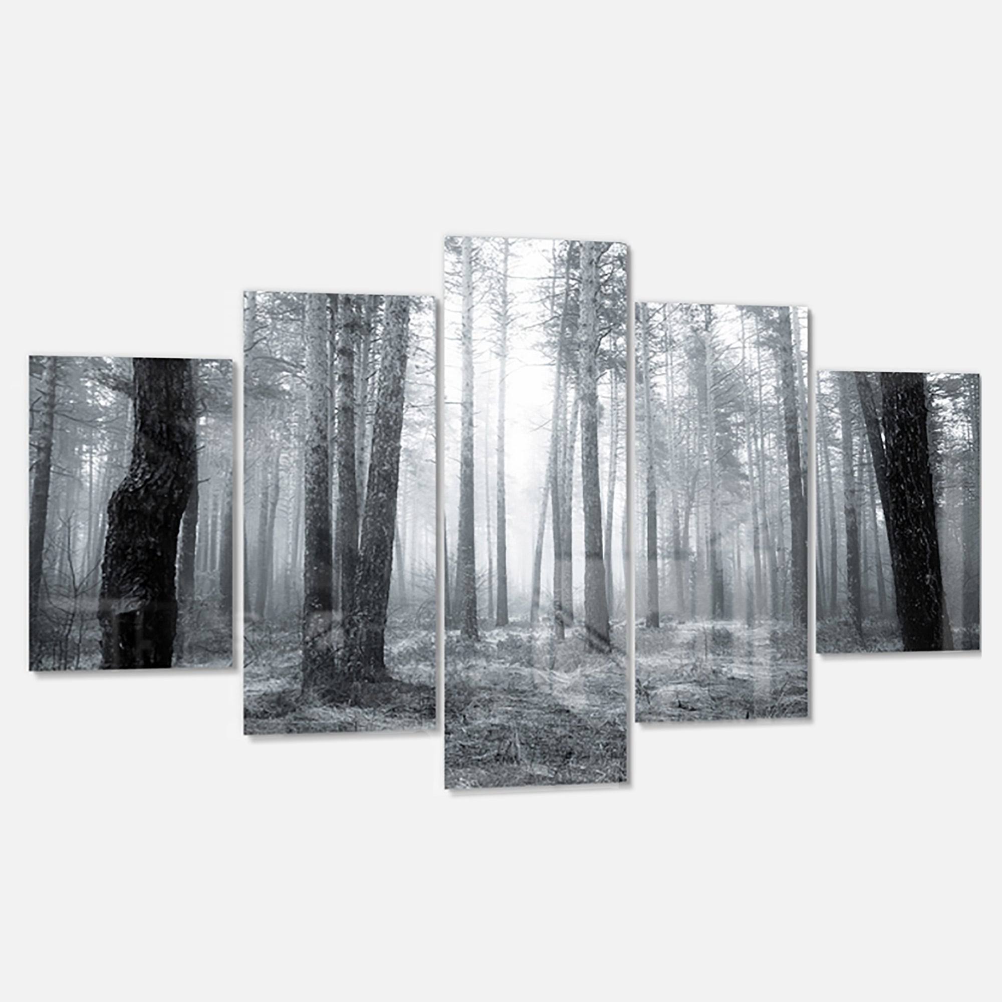 Design Art &Black and White Foggy Forest& 5 Piece Photographic Print on Metal Set
