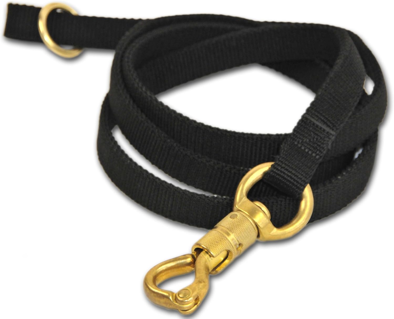 Dean & Tyler Night Walk Single Ply Black Nylon 4-Feet by 3/4-Inch Dog Leash with a Ring on Handle and Smart Lock Snap Hook