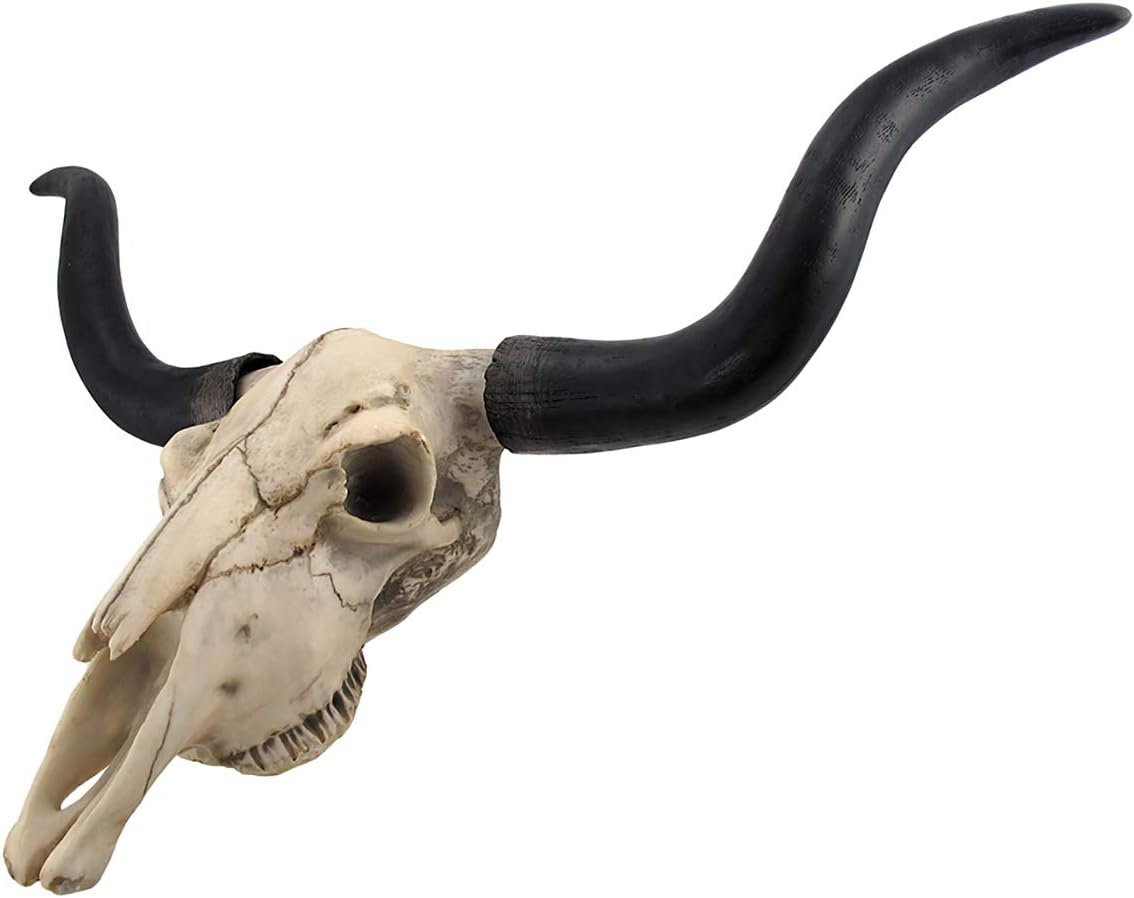 Long Horn Cow Skull Wall Hanging Longhorn Steer Pack of 2