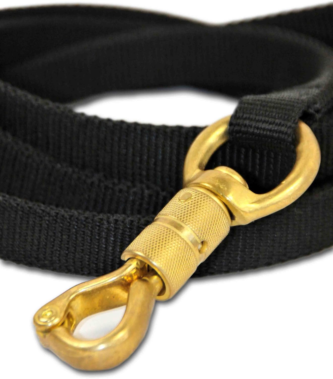 Dean & Tyler Night Walk Single Ply Black Nylon 4-Feet by 3/4-Inch Dog Leash with a Ring on Handle and Smart Lock Snap Hook