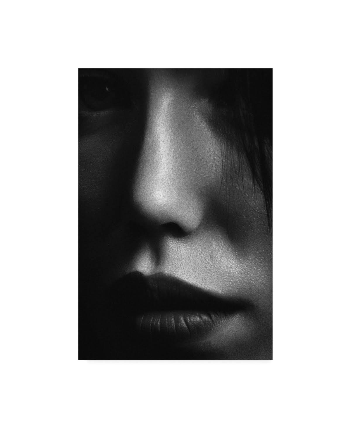 Trademark Fine Art Ic01435-C3047Gg Design Fabrikken 'Face 2 Fabrikken'