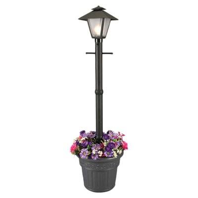Nicolasa Outdoor 1-Light 80x22 Post Light Charlton Home Finish: Black
